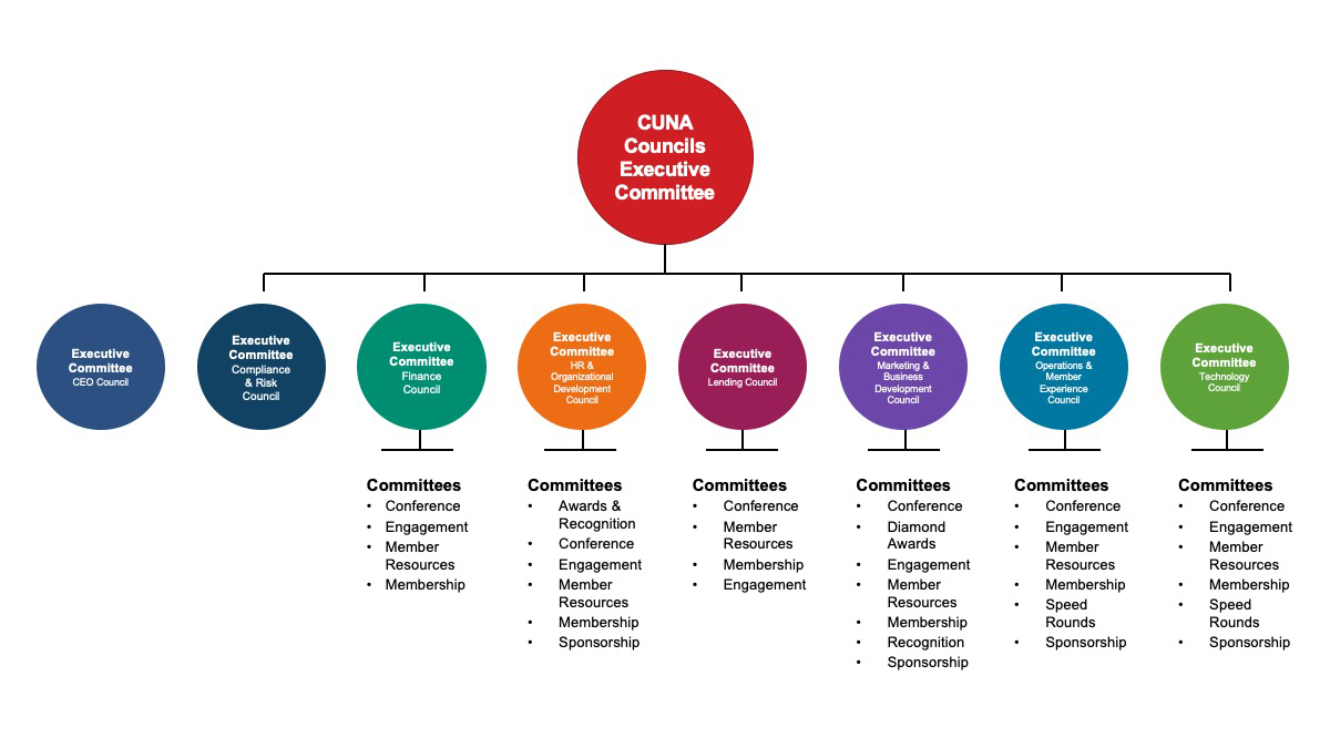 CUNA Councils Committee Structure
